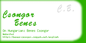 csongor benes business card